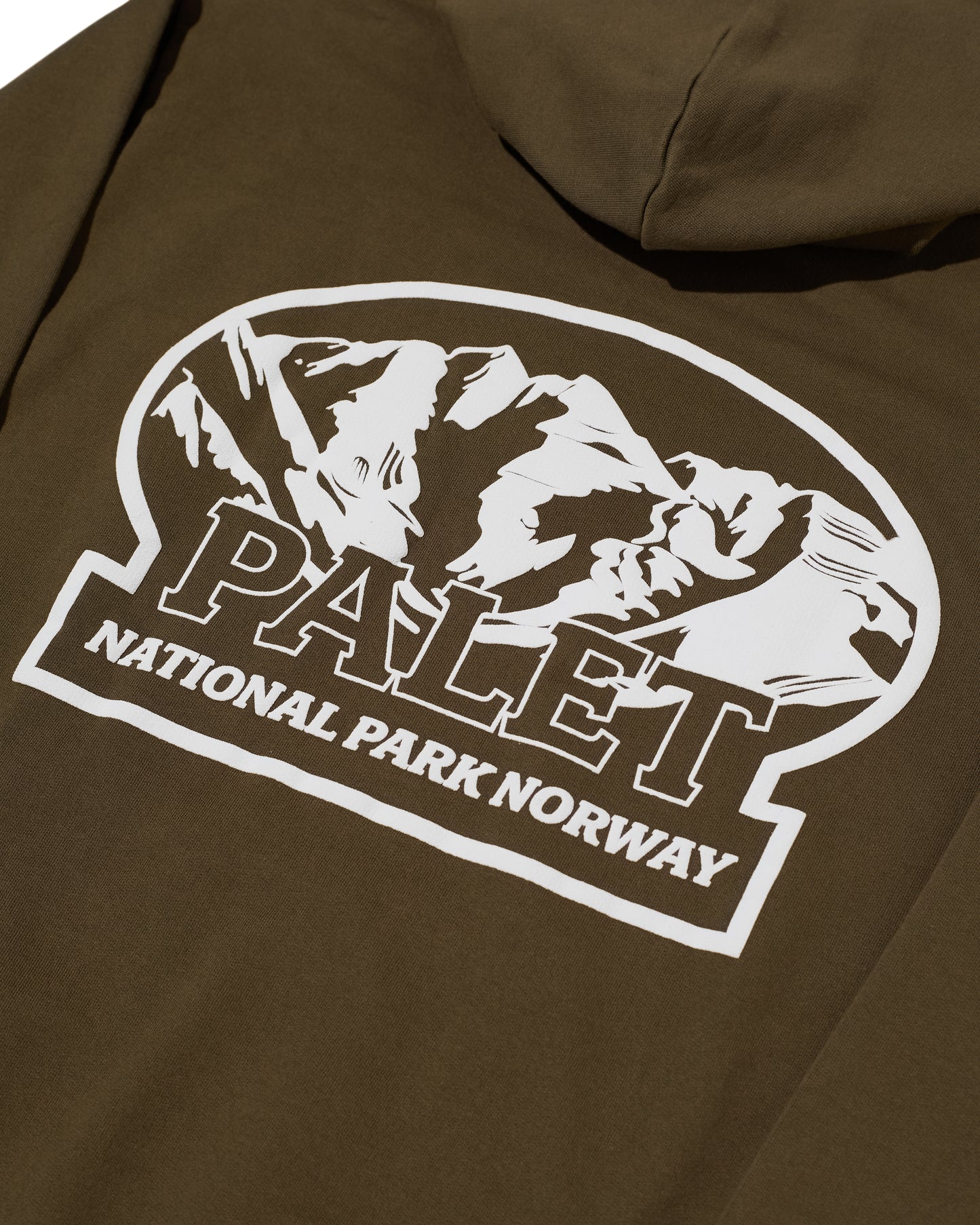 National park hoodie